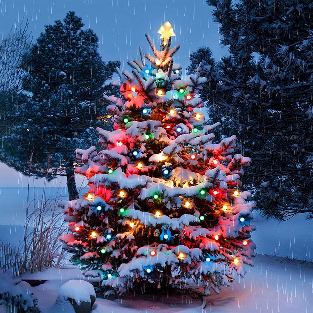 Guirlande lumineuse intelligen - Smart Garden Festoon Lights avis et prix