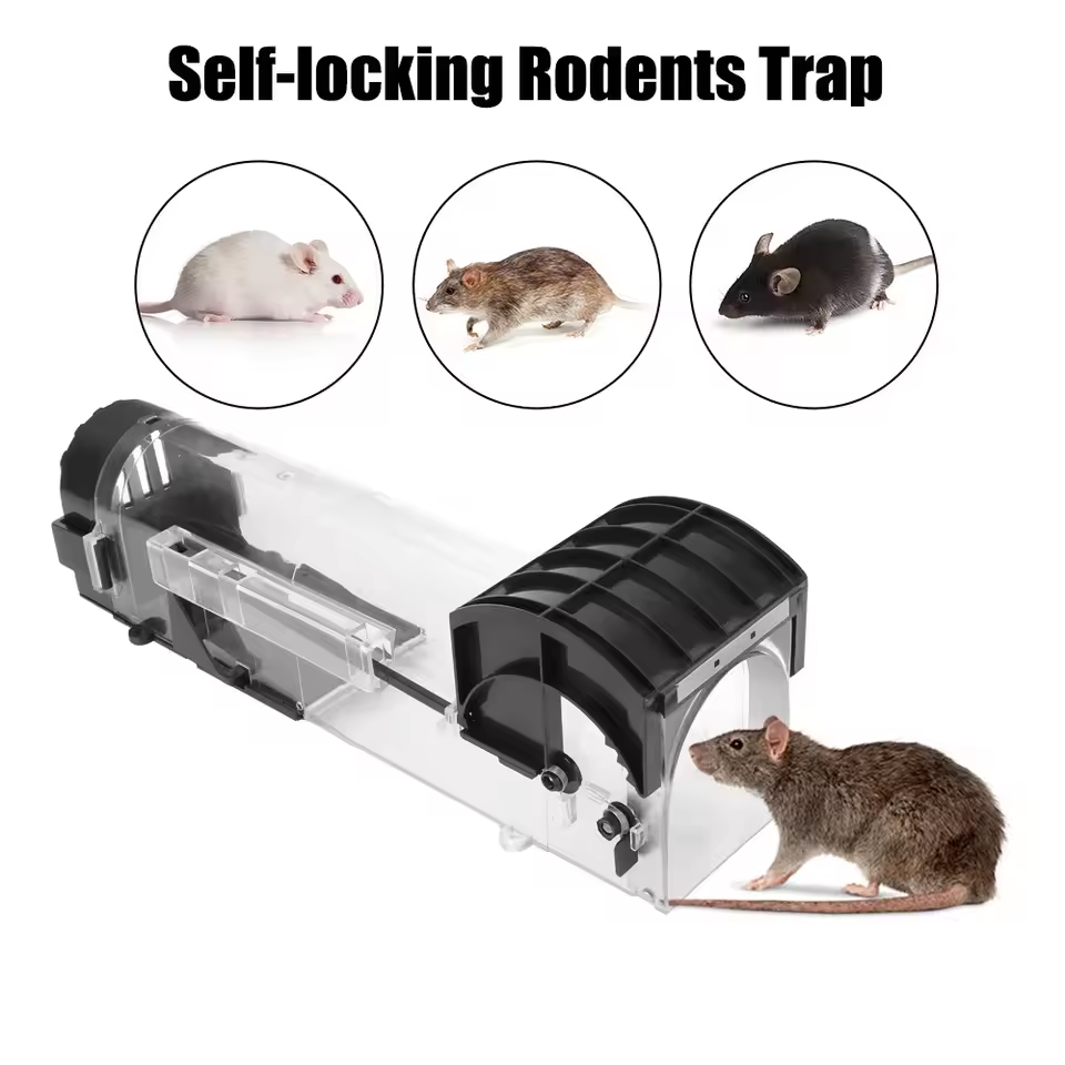 Piège à souris sûr et robuste, - Smart Garden Outdoor avis et prix