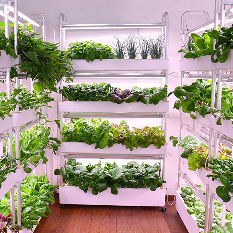 Tour de culture hydroponique v - Smart Garden Box avis et prix
